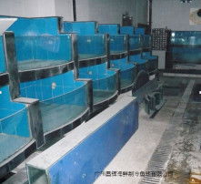 高清图片