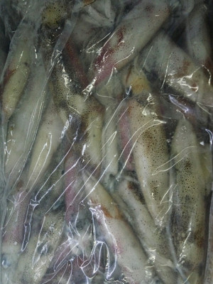 北部湾名贵海产鉴赏 从马头鱼到深海虾仁的冰鲜之美