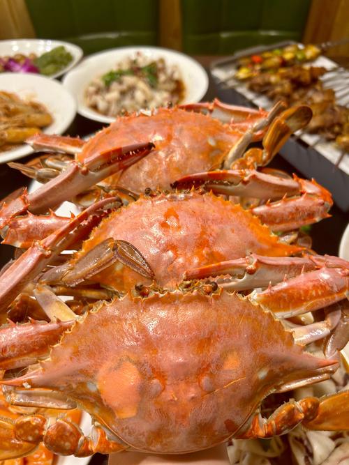 大连海鲜盛宴 饕餮之旅，只此一尝